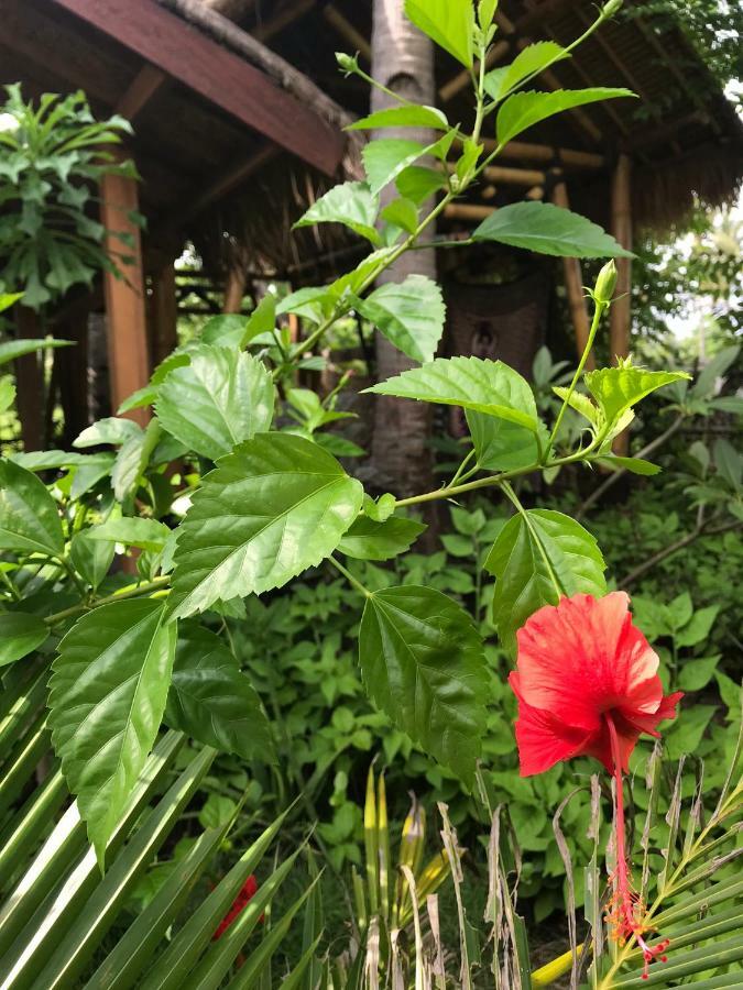 Meno Madia Bungalows Gili Meno Exterior foto
